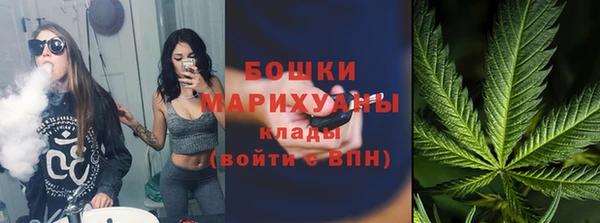 ГАЛЛЮЦИНОГЕННЫЕ ГРИБЫ Балахна