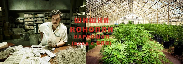 ГАЛЛЮЦИНОГЕННЫЕ ГРИБЫ Балахна