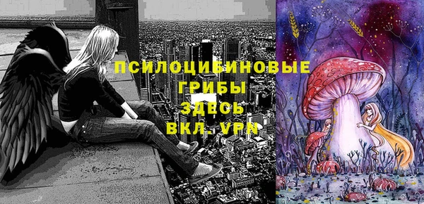 дурь Арсеньев