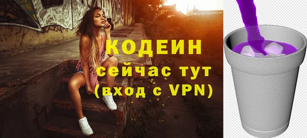 дурь Арсеньев