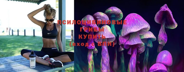дурь Арсеньев