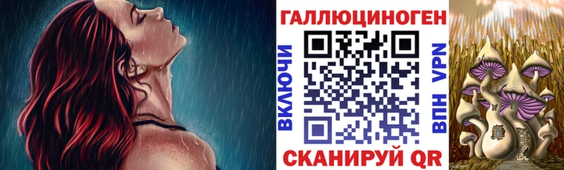 Галлюциногенные грибы Magic Shrooms  Ельня 
